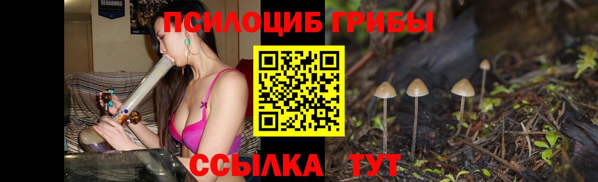 Евпатория  Галлюциногенные грибы ЛСД  Вход с VPN 